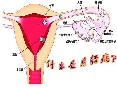 月經(jīng)不調(diào)如何治療